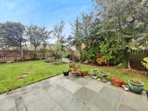 Photo 15- click for photo gallery